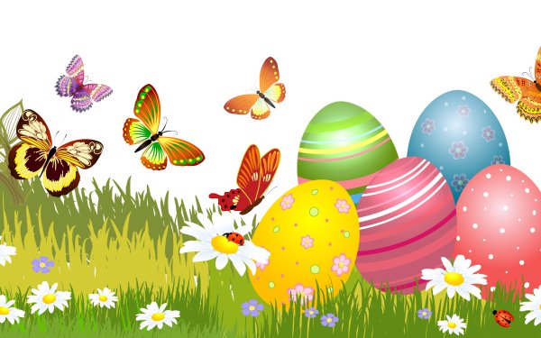 Holiday Easter Egg Easter Egg Colorful Grass Flower Butterfly HD Wallpaper | Background Image