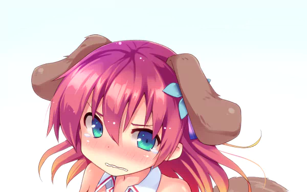 HD anime wallpaper featuring Stephanie Dola from No Game No Life with pink hair, blue eyes, and dog-ear accessories against a clean white background.