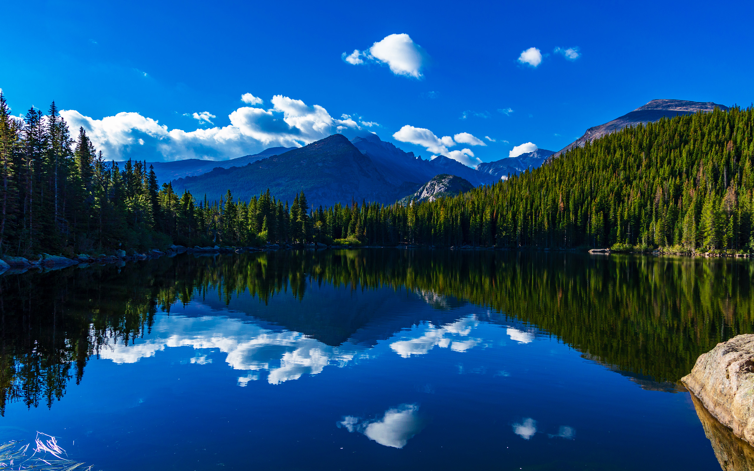 Download Wilderness Tree Water Reflection Cloud Sky Mountain Nature 