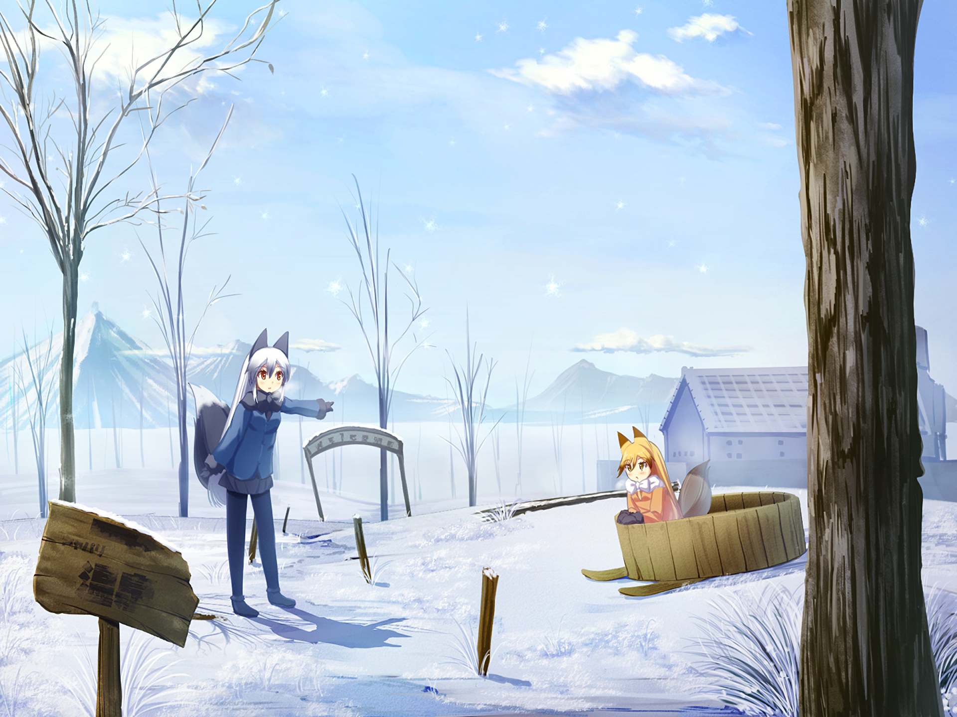 Download Silver Fox (Kemono Friends) Ezo Red Fox (Kemono Friends) Anime Kemono Friends HD Wallpaper