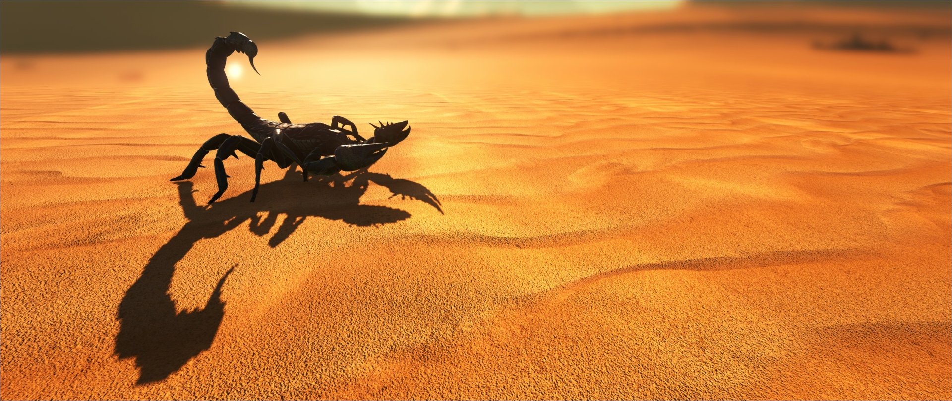 HD desktop wallpaper from the video game Ark: Survival Evolved featuring a detailed scorpion casting a shadow on golden desert sand.