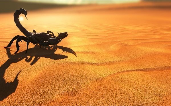 Video Game ARK: Survival Evolved Scorpion Sand Desert HD Wallpaper | Background Image