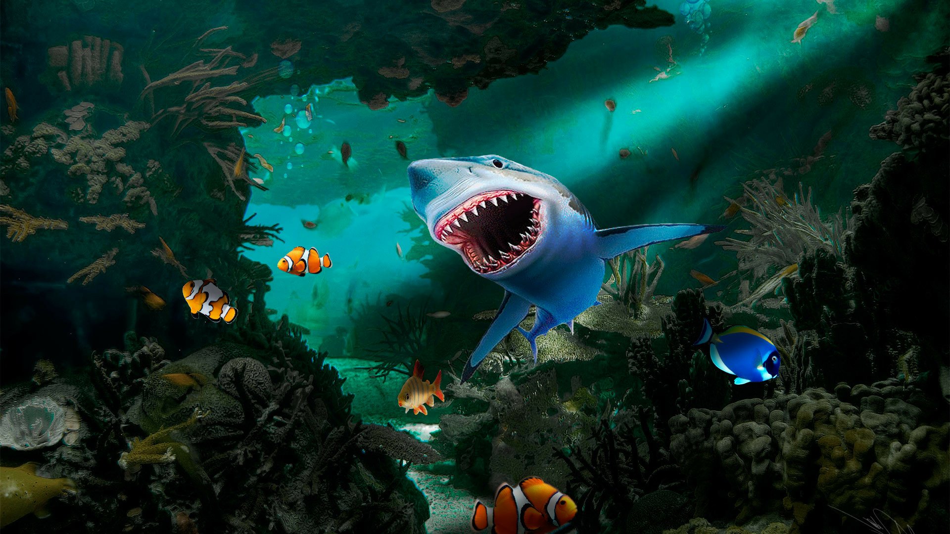HD artistic underwater wallpaper depicting a great white shark swimming in a sea cove surrounded by clownfish and other colorful fish.