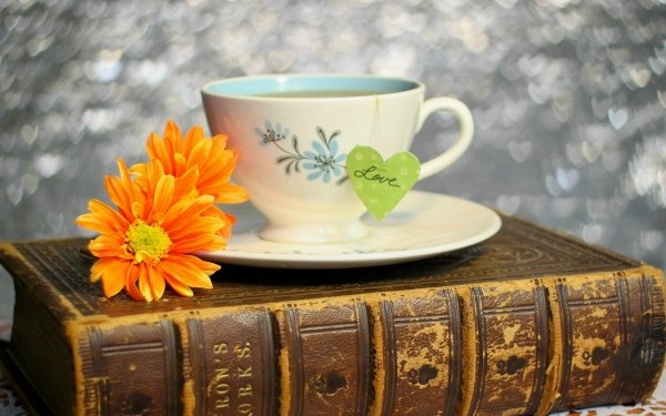 Photography Still Life Flower Daisy Cup Book Bokeh HD Wallpaper | Background Image