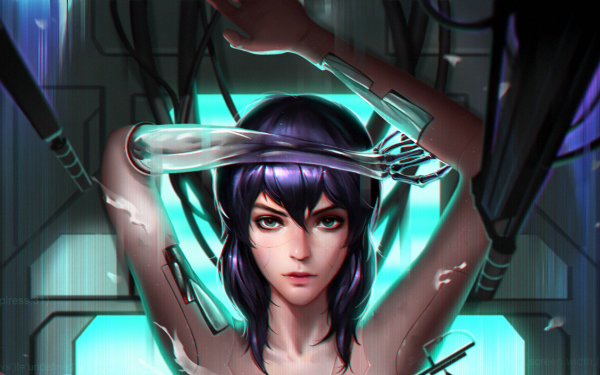 Anime Ghost In The Shell Ghost in the Shell Motoko Kusanagi HD Wallpaper | Background Image