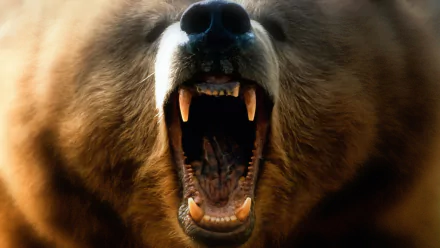 movie The Edge HD Desktop Wallpaper | Background Image