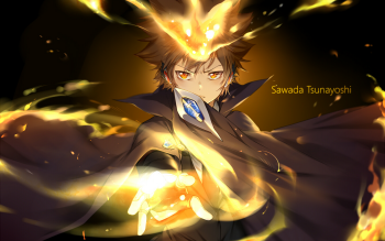 211 Katekyō Hitman Reborn Hd Wallpapers Background Images Wallpaper Abyss