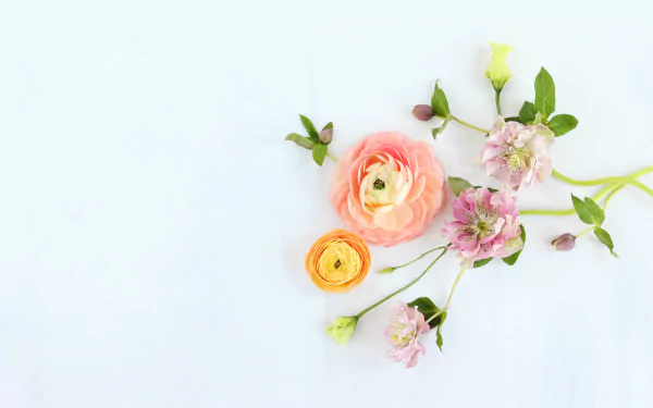 Pastel spring flowers arranged delicately on a light background, captured in a soft, artistic style for a 4K Ultra HD PC desktop wallpaper.
