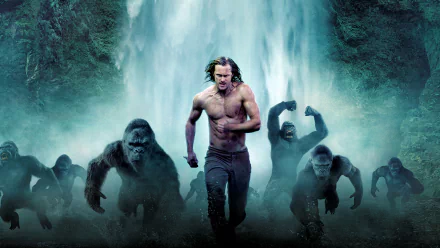 Alexander Skarsgård gorilla movie The Legend of Tarzan HD Desktop Wallpaper | Background Image