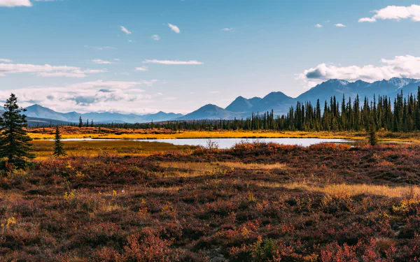 A stunning panorama of mountains and a tranquil lake, surrounded by vibrant landscapes and lush trees, showcasing the beauty of nature in 4K Ultra HD resolution.