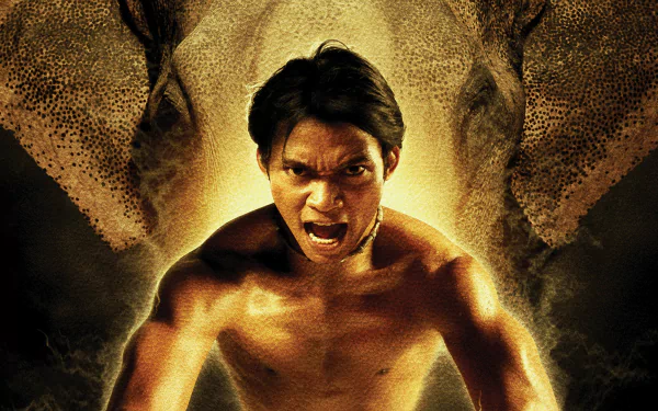Tony Jaa movie The Protector 2 HD Desktop Wallpaper | Background Image