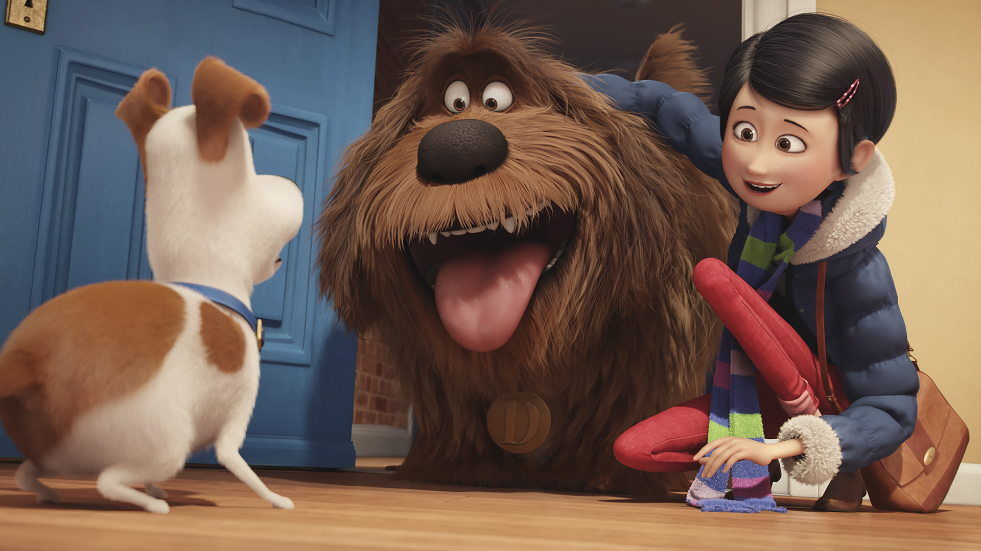 Download Movie The Secret Life Of Pets HD Wallpaper