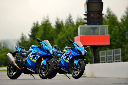 HD desktop wallpaper featuring two blue Suzuki GSX-R1000 motorcycles parked on a racetrack with a blurred background of trees and a traffic light tower.