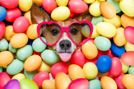 5K Ultra HD PC desktop wallpaper: a funny dog's muzzle with pink heart sunglasses peeks through a pile of colorful Easter eggs in vibrant colors.