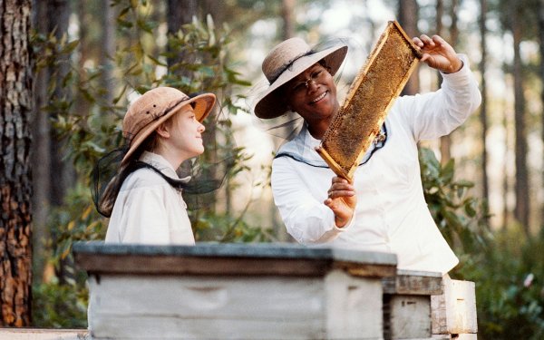 Movie The Secret Life Of Bees Dakota Fanning Queen Latifah HD Wallpaper | Background Image