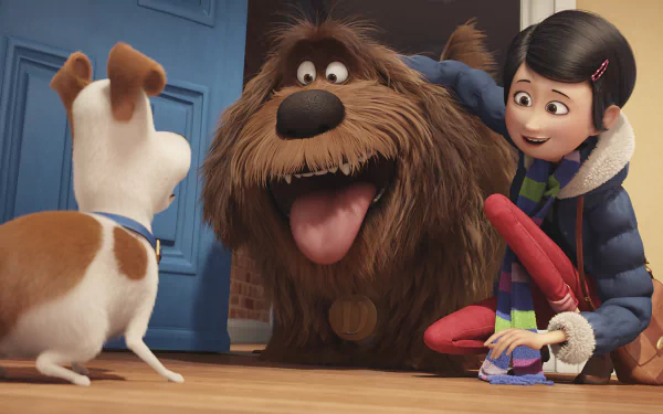 movie The Secret Life of Pets HD Desktop Wallpaper | Background Image