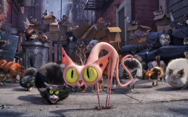movie The Secret Life of Pets HD Desktop Wallpaper | Background Image