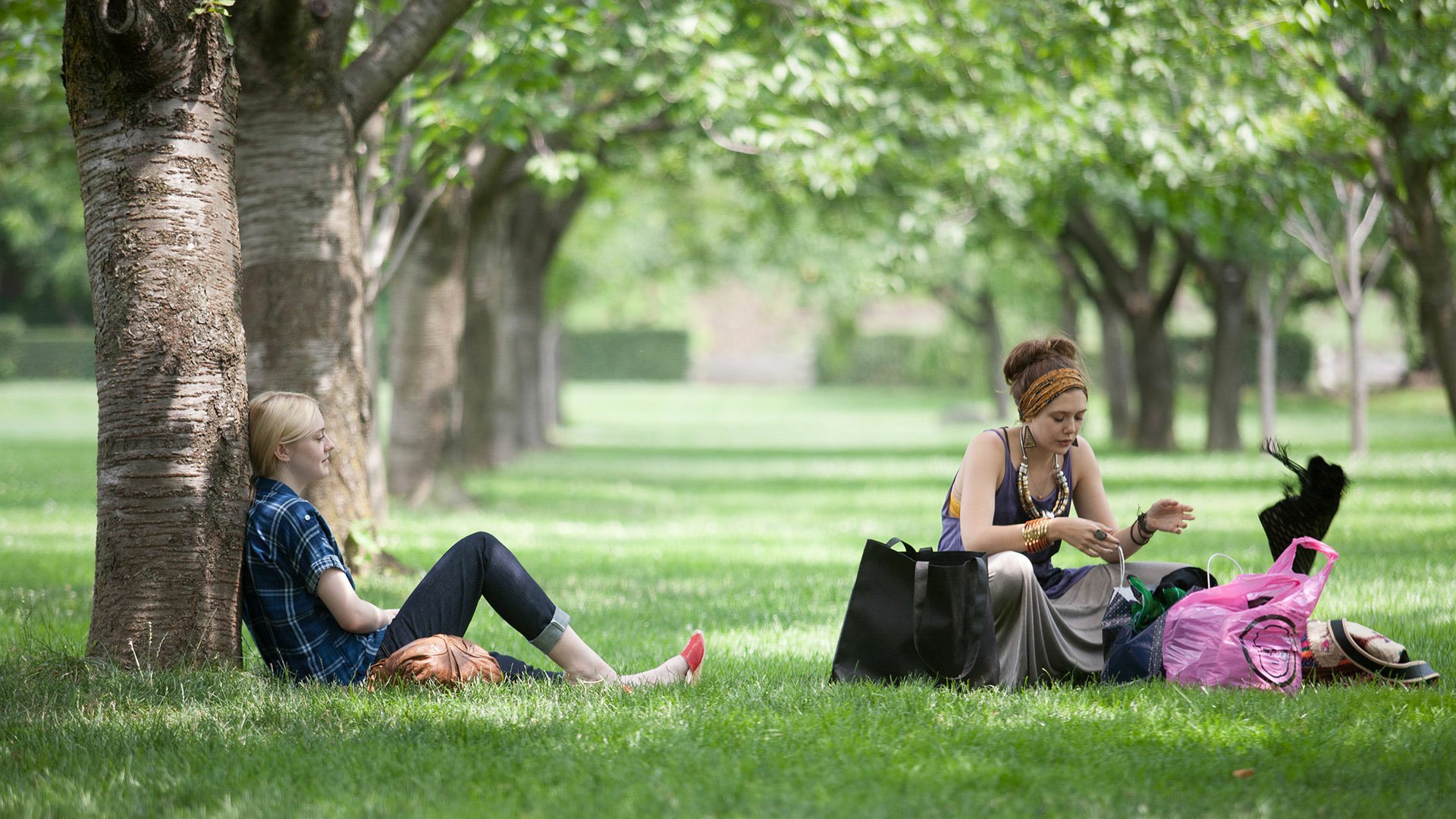 Elizabeth Olsen and Dakota Fanning sit under trees in a lush green park scene from the movie Very Good Girls, captured as an HD PC desktop wallpaper background.