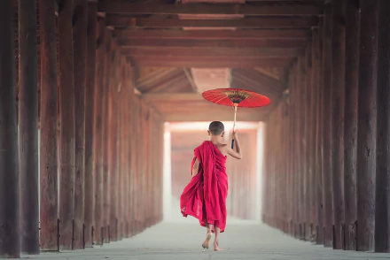  A Young Monk in Burma