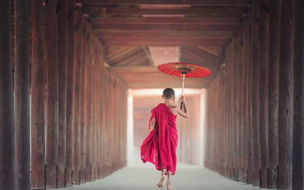  A Young Monk in Burma