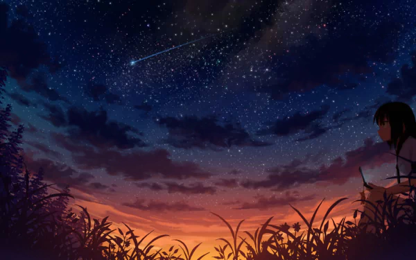 An HD desktop wallpaper depicting an anime girl in the foreground, gazing at a beautiful night sky with a shooting star, against the backdrop of a colorful sunset.