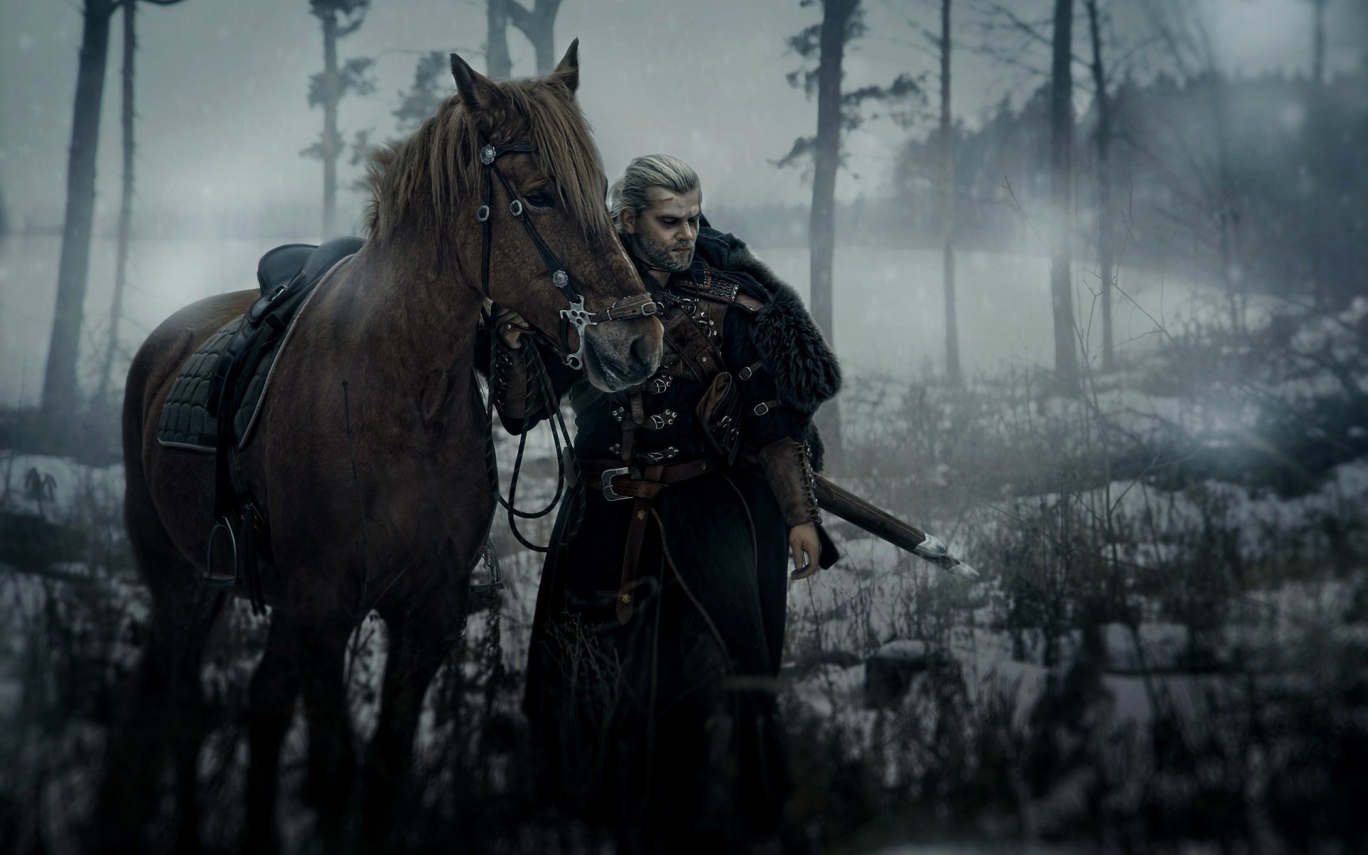 The Witcher 3: Winter Journey HD Wallpaper