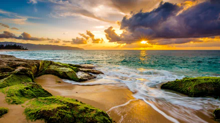 HD desktop wallpaper of a stunning sunset over the ocean at the Hawaiian coast. The sun's golden beams pierce through clouds, illuminating the serene sea and shoreline. Lush moss-covered rocks in the foreground.