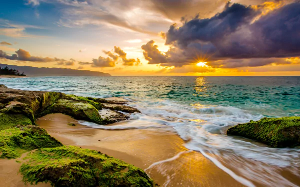 HD desktop wallpaper of a stunning sunset over the ocean at the Hawaiian coast. The sun's golden beams pierce through clouds, illuminating the serene sea and shoreline. Lush moss-covered rocks in the foreground.