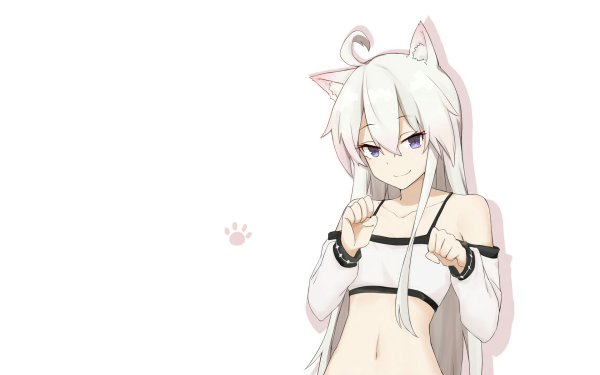 Anime Grimoire of Zero Zero HD Wallpaper | Background Image
