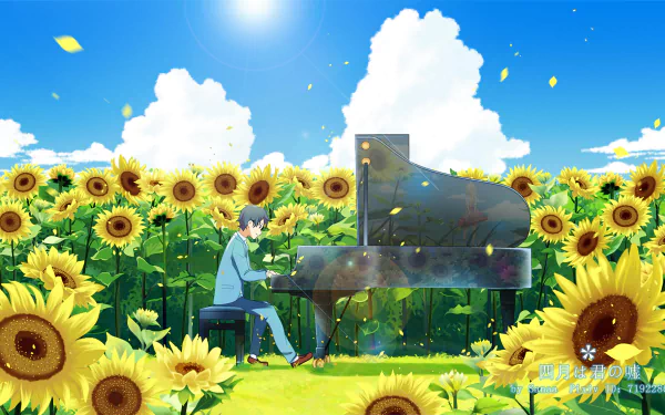 Kousei Arima plays piano amidst vibrant sunflowers under a bright sky, capturing the essence of Your Lie in April in this HD anime wallpaper.