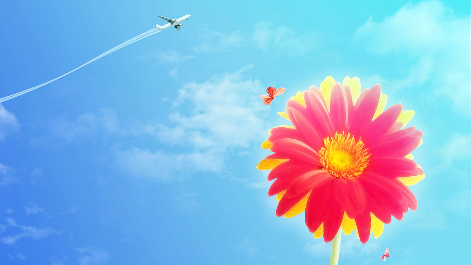 Download Pink Flower Airplane Butterfly Blue Sky Flower Nature Gerbera ...