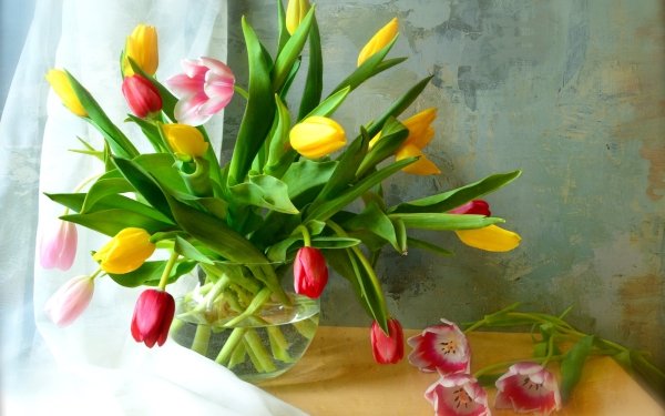Photography Still Life Flower Vase Tulip Yellow Flower Pink Flower HD Wallpaper | Background Image