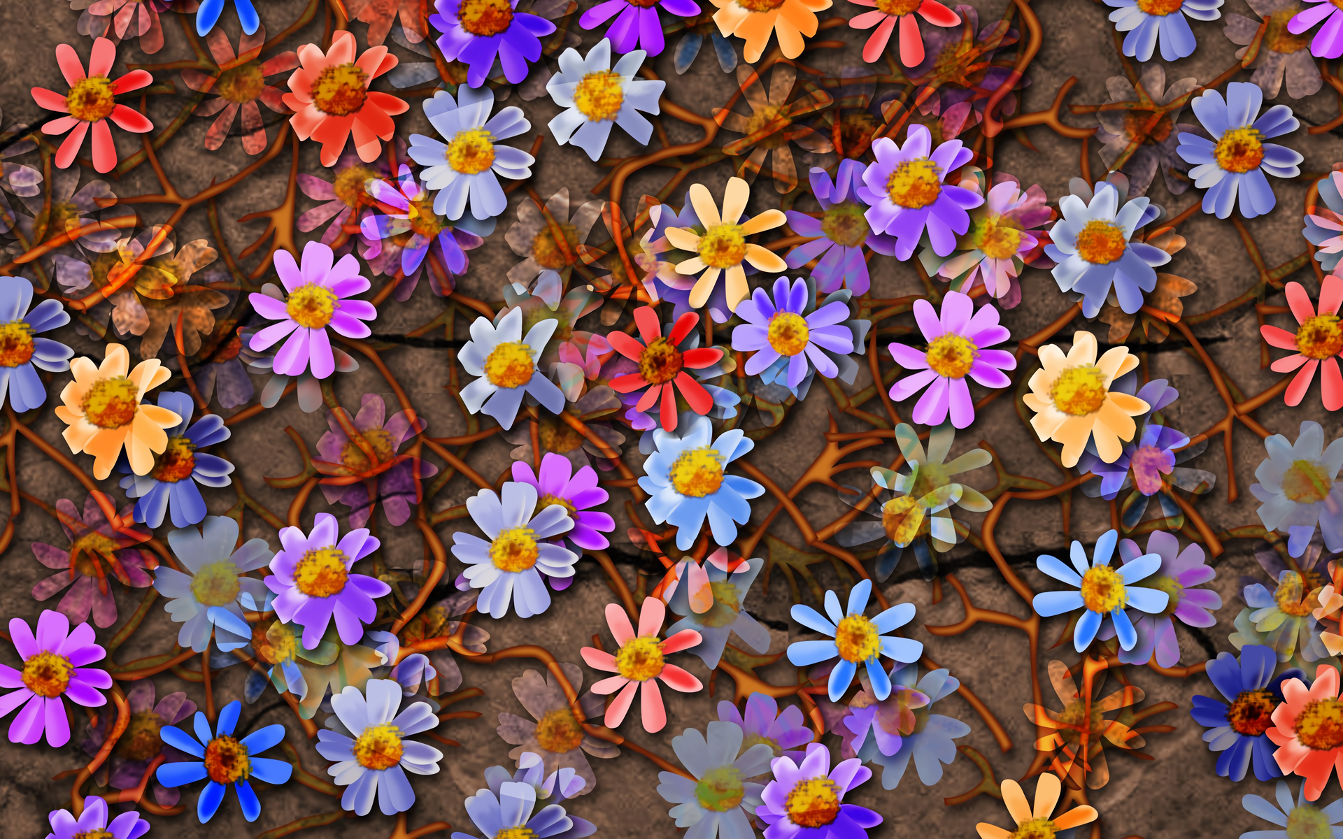 Colorful Flowers HD Wallpaper | Background Image | 1920x1200