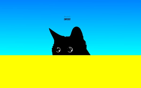 Animal Cat Cats Kitten Simple Blue Yellow HD Wallpaper | Background Image