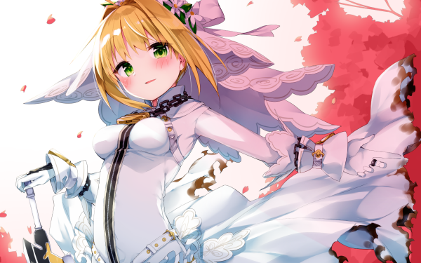 Anime Fate/Extra CCC Saber Saber Bride HD Wallpaper | Background Image