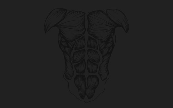 Artistique Anatomie Muscle Fond d'écran HD | Image