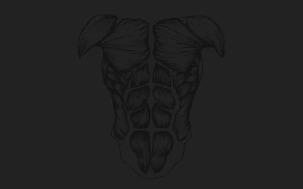 muscle artistic anatomy HD Desktop Wallpaper | Background Image