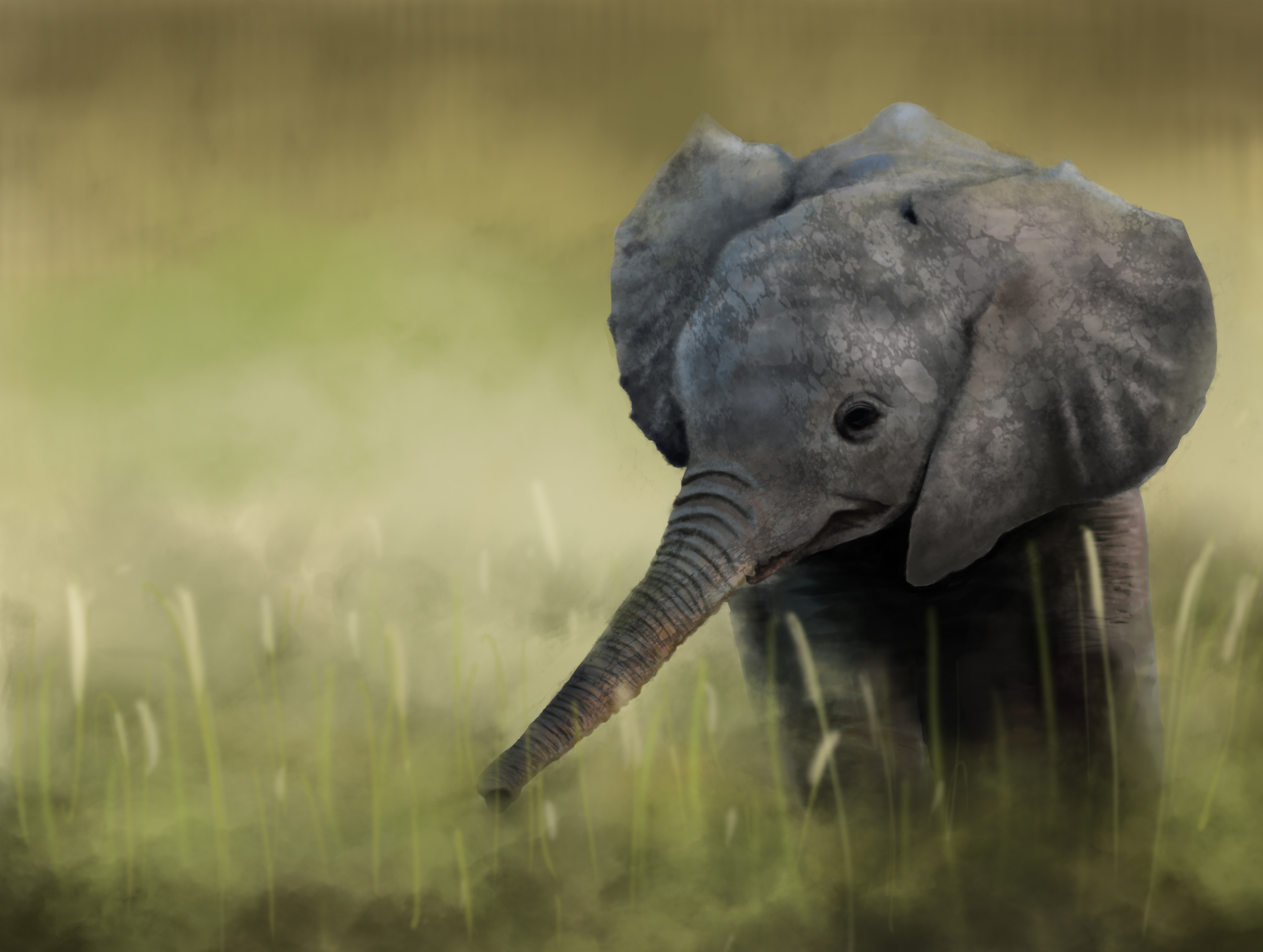Elephant 4k Ultra HD Wallpaper | Background Image | 5000x3770