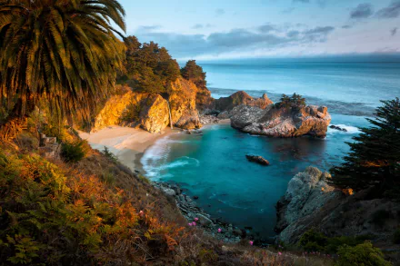  Julia Pfeiffer Burns State Park