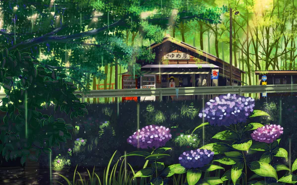 sunbeam grass flower Anime shop HD Desktop Wallpaper | Background Image
