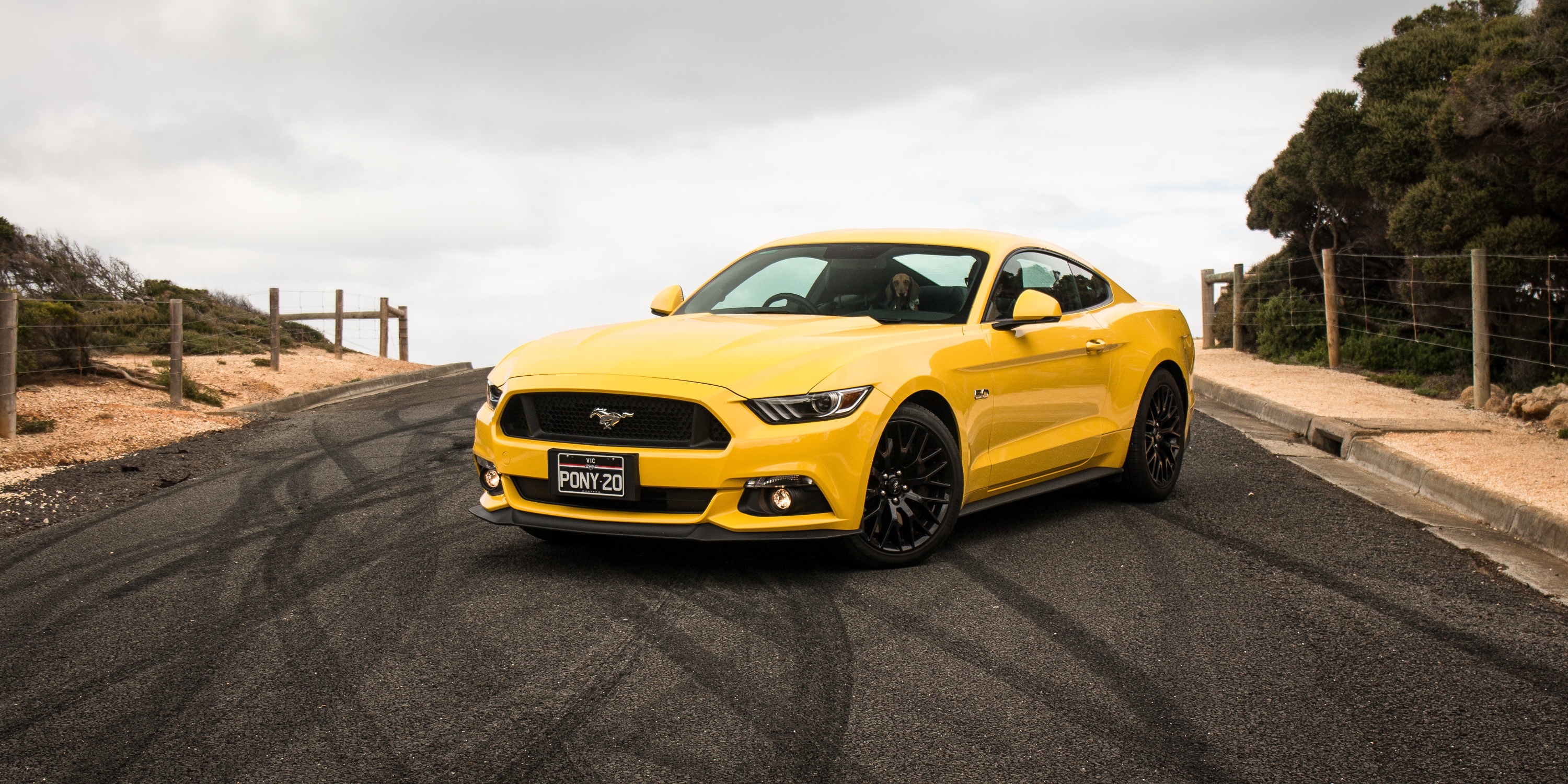 Download Muscle Car Yellow Car Car Ford Vehicle Ford Mustang Hd Wallpaper