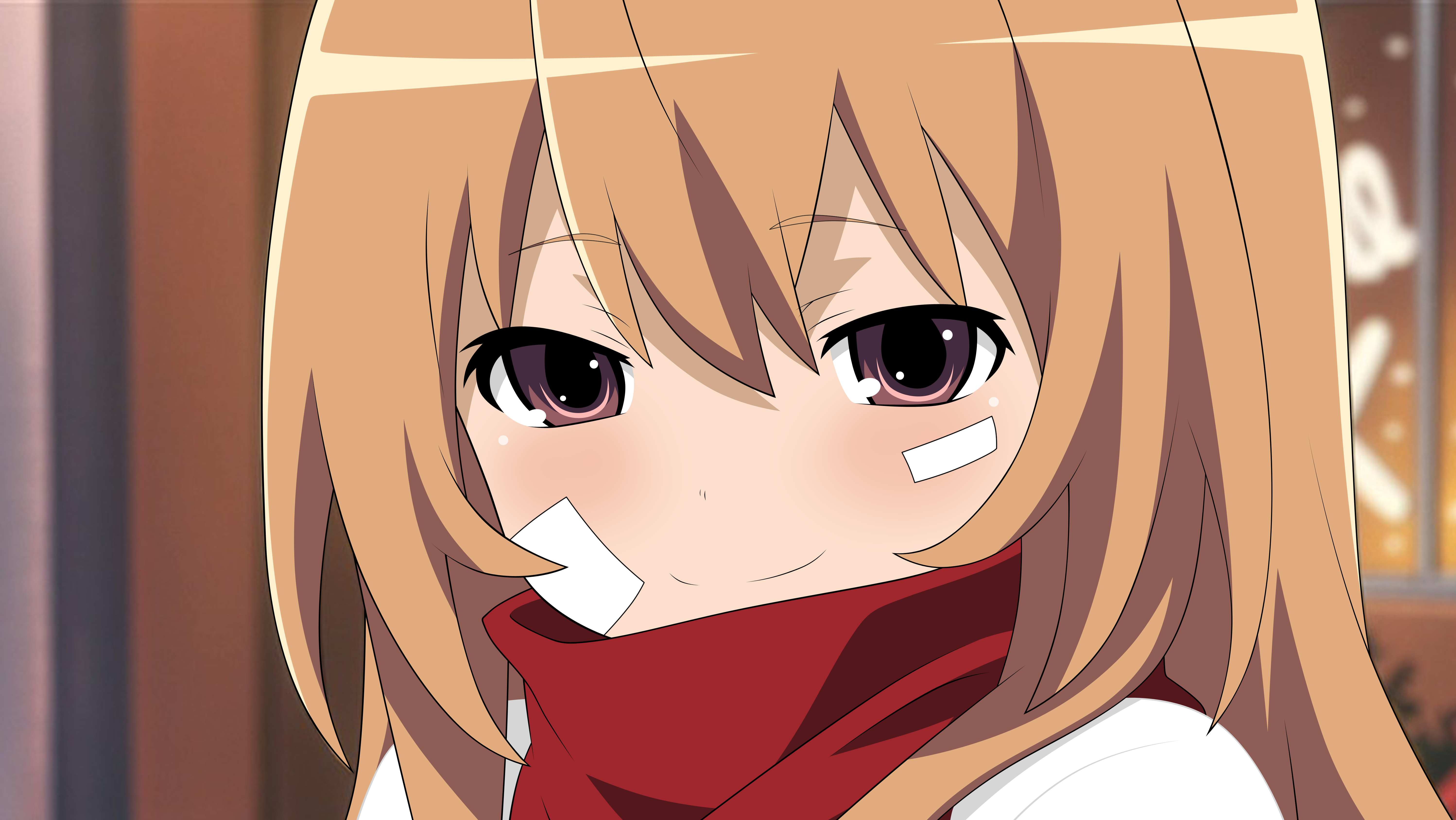 Anime Toradora! 4k Ultra HD Wallpaper