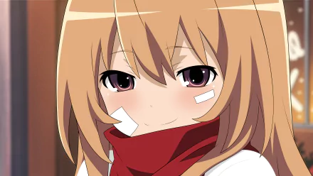HD desktop wallpaper featuring Taiga Aisaka from the anime Toradora!, showcasing a close-up of her face with bandages and a red scarf.