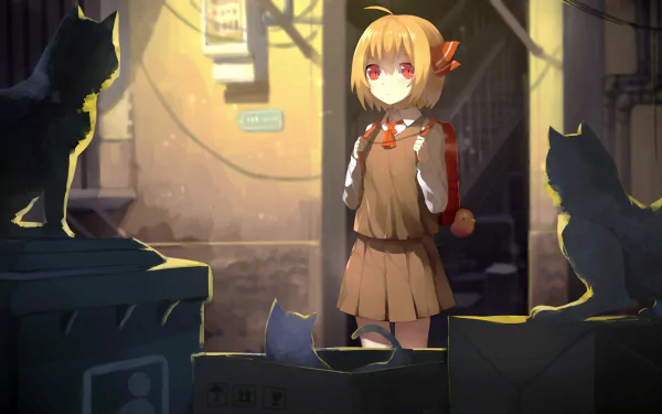 HD anime PC wallpaper featuring Rumia from Touhou with red eyes, a ribbon, and surrounded by black cats in a dimly lit alley.