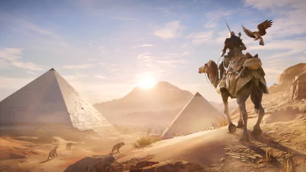 An HD desktop wallpaper featuring Bayek of Siwa from Assassin's Creed Origins, riding a camel with his eagle Senu soaring above. The scene showcases the pyramids and a desert landscape at sunrise.