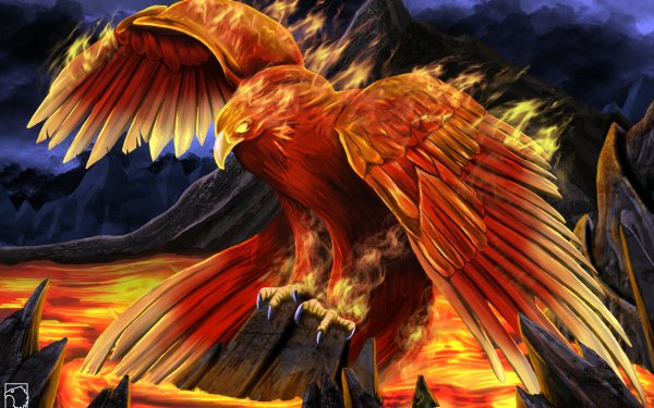Fantasy Phoenix Fantasy Animals Bird Fire HD Wallpaper | Background Image
