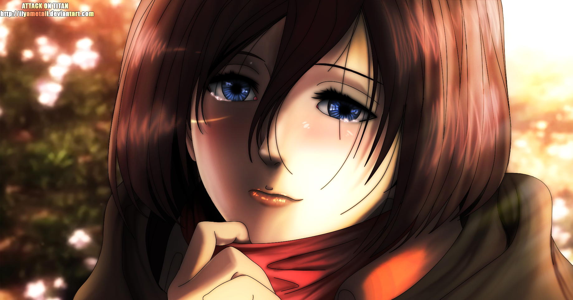 mikasa smile