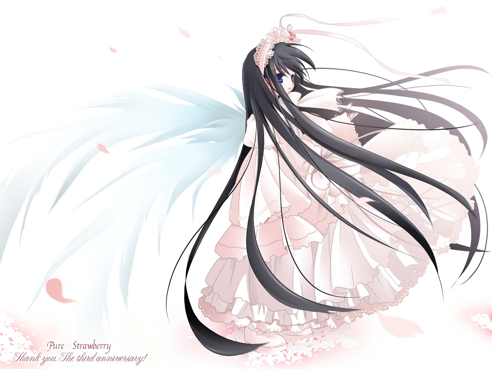 2K Quad HD PC desktop wallpaper: anime angel with long black hair and blue eyes, white wings, frilly pink dress, petals drifting across a soft white background.