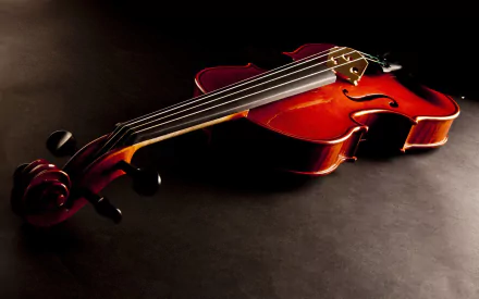 Beautiful Violin