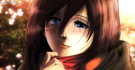HD anime desktop wallpaper featuring Mikasa Ackerman from Attack on Titan, with soft lighting highlighting her expressive blue eyes and thoughtful expression.